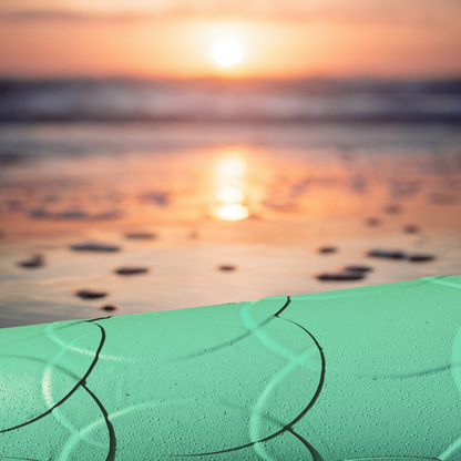 Ecoglide Buoy Protection System